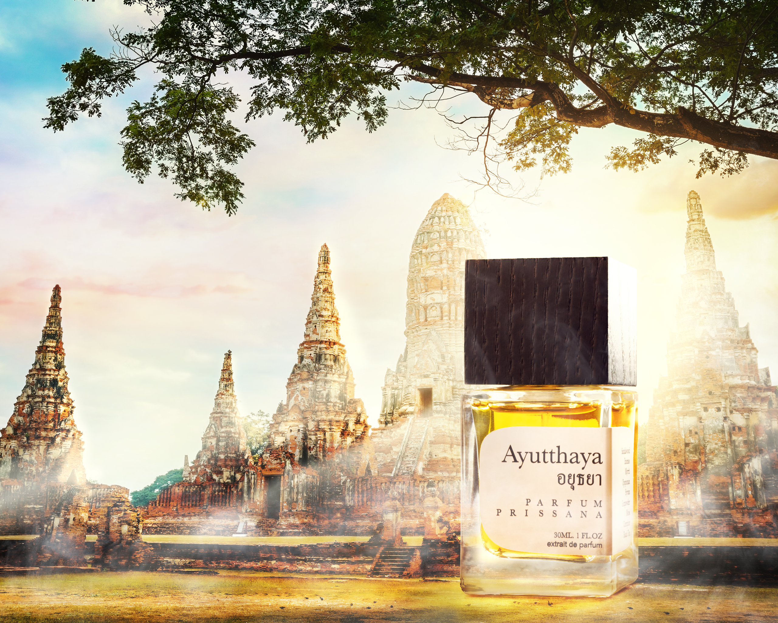 AYUTTHAYA (อยุธยา) - Image 2