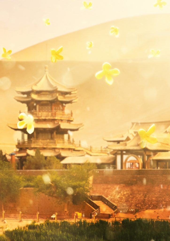 DUNHUANG 敦煌 (SAMPLE)