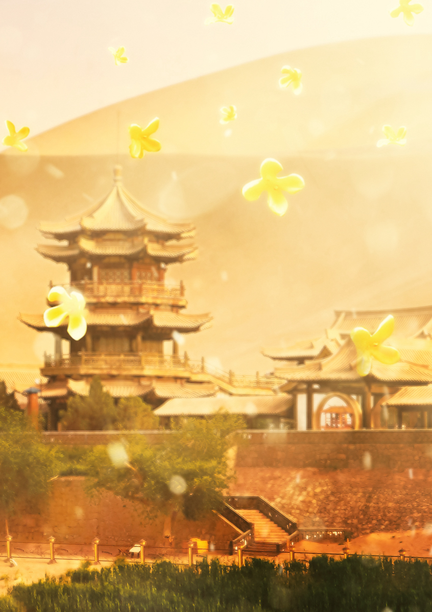DUNHUANG 敦煌 (SAMPLE)
