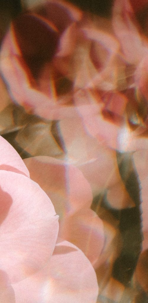 PLUNGE (SAMPLE)