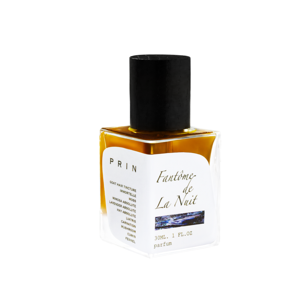 Fantôme De La Nuit